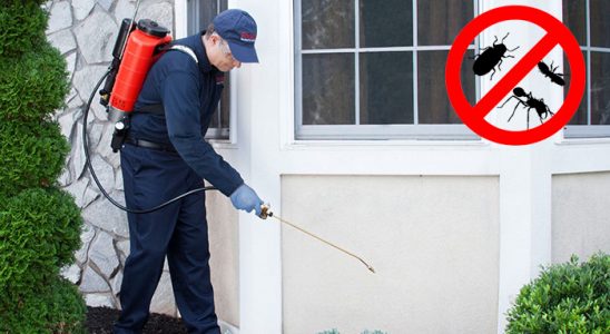 Karacabey Kene İlaçlama böcek ilaçlama ve haşere kontrolü — ilaclama-tr.com